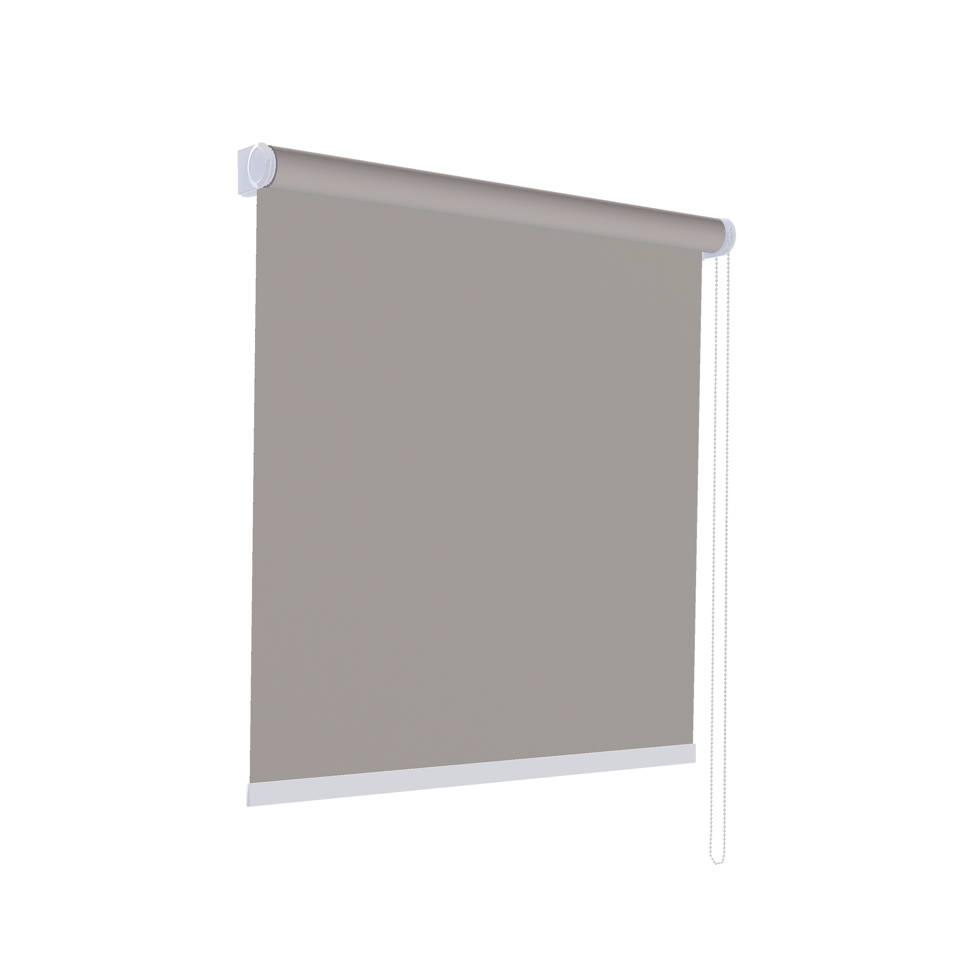 S55-24 Rollo 2024